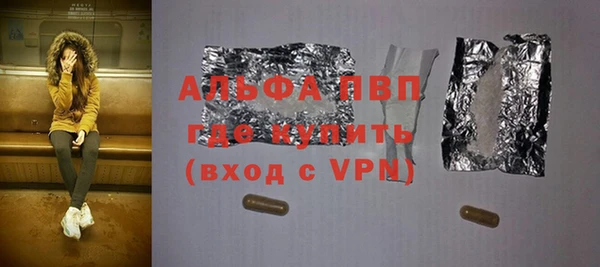 индика Новодвинск