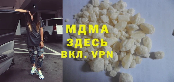 индика Новодвинск