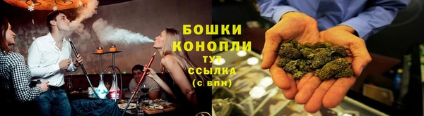 индика Новодвинск