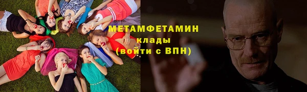 индика Новодвинск