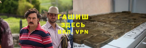 индика Новодвинск