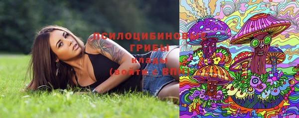 таблы Новозыбков