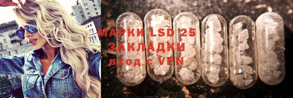 индика Новодвинск