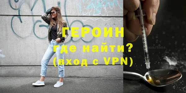 индика Новодвинск