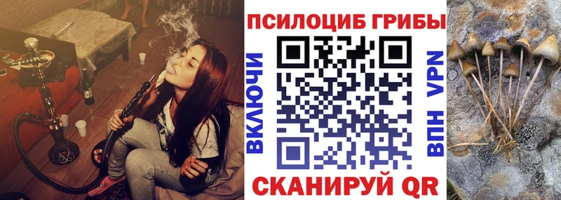 купить наркоту  Короча  Галлюциногенные грибы прущие грибы 