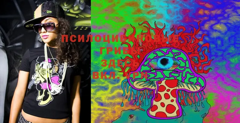 mega ссылка  Короча  Псилоцибиновые грибы MAGIC MUSHROOMS  где можно купить наркотик 